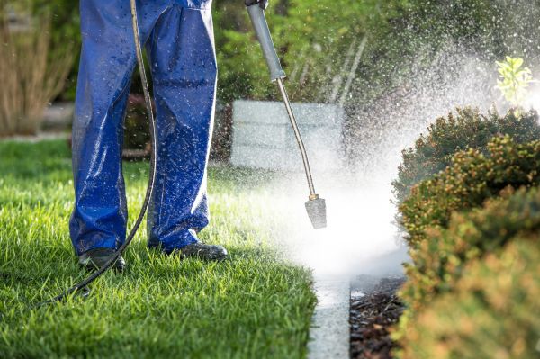 Cost of Curb Cleaning in San Rafael