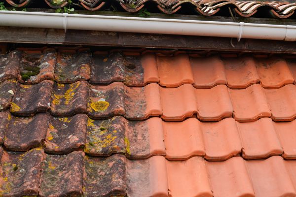 Industrial Roof Cleaning in San Rafael