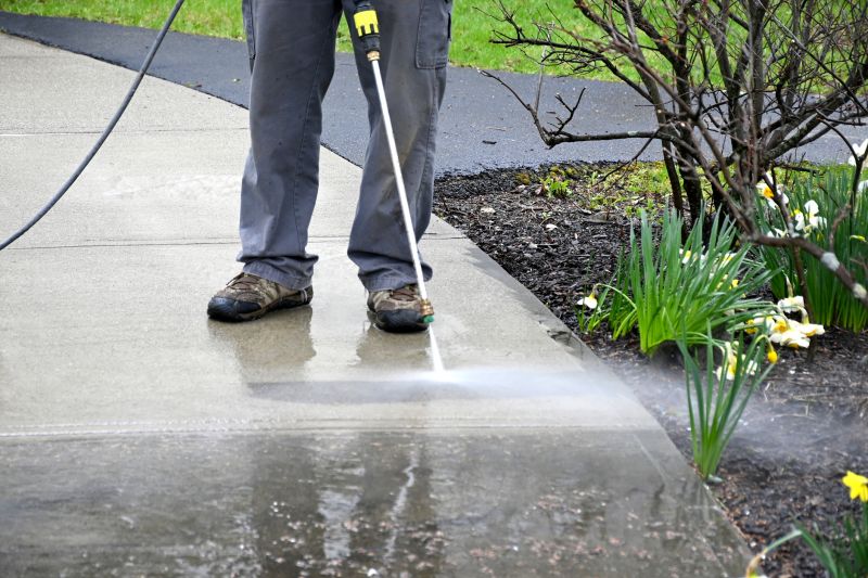 Paver Sidewalk Cleaning